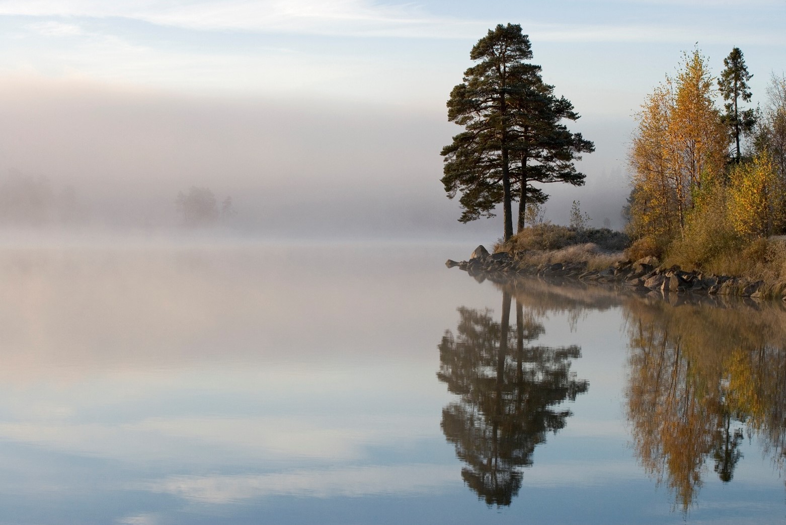 Vacker bild på en skogssjö